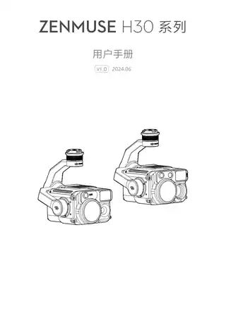 DJI大疆禅思 H30 系列